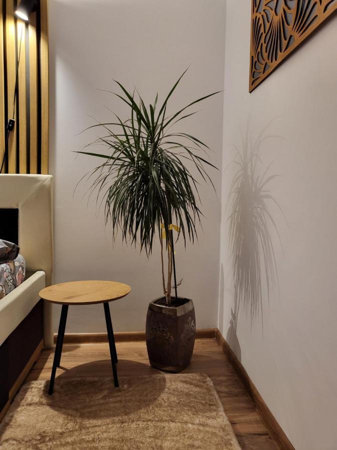 Art House Apartment ฟลอเรชติ ภายนอก รูปภาพ