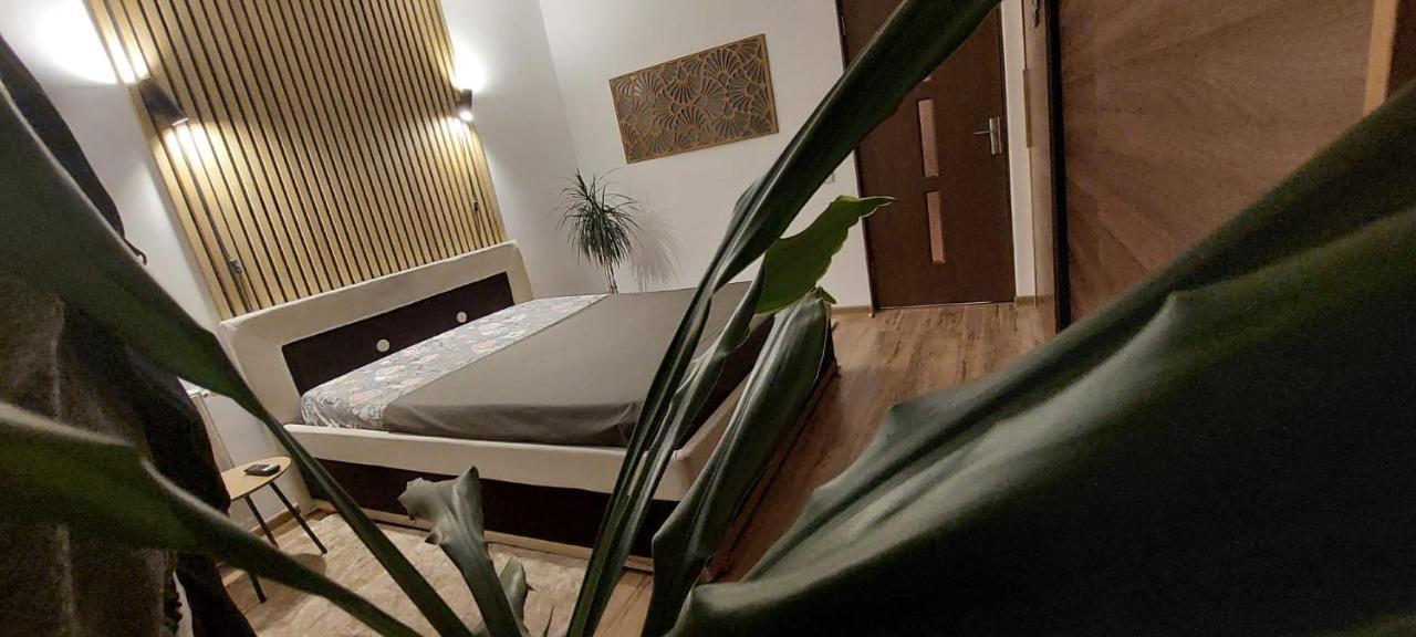 Art House Apartment ฟลอเรชติ ภายนอก รูปภาพ